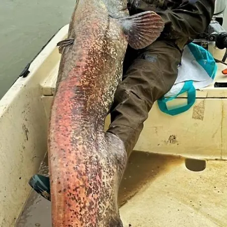 Steghouse Kis-duna Feriehus *