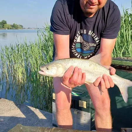 Steghouse Kis-duna Feriehus *