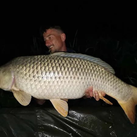 Steghouse Kis-duna Feriehus *