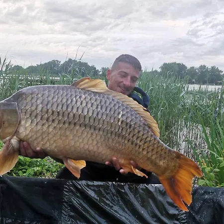 Steghouse Kis-duna * Domsod