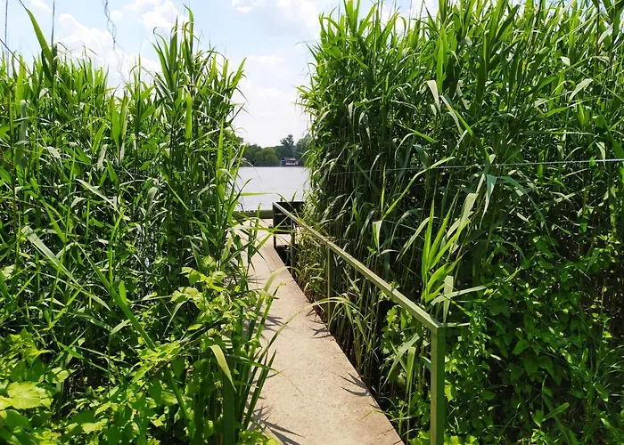 Steghouse Kis-duna *