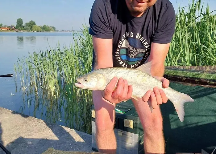 Steghouse Kis-duna Ferienhaus *