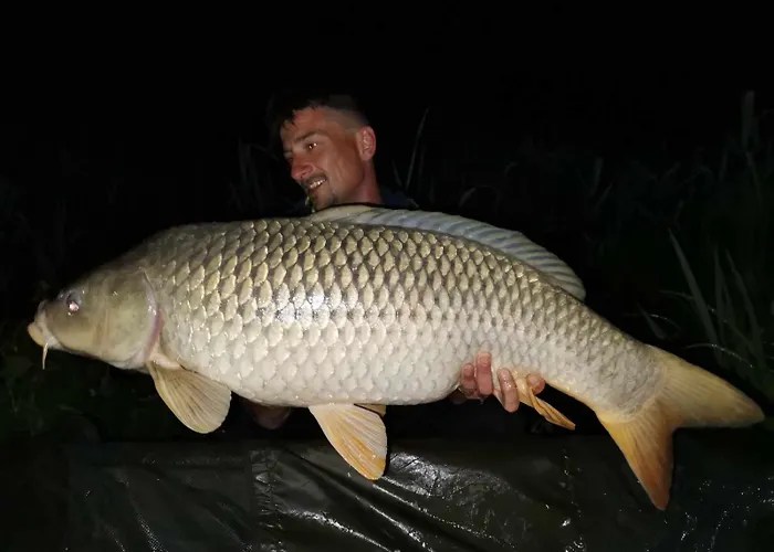 Steghouse Kis-duna Ferienhaus *