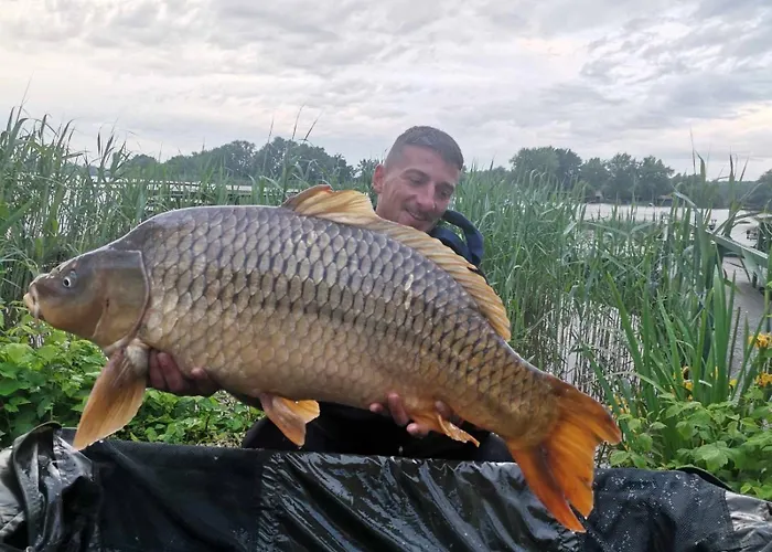 Steghouse Kis-duna * Domsod